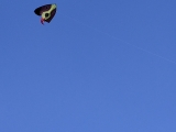 IMG_20191015_160953