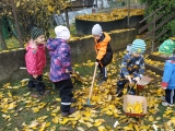 IMG_20201103_105620